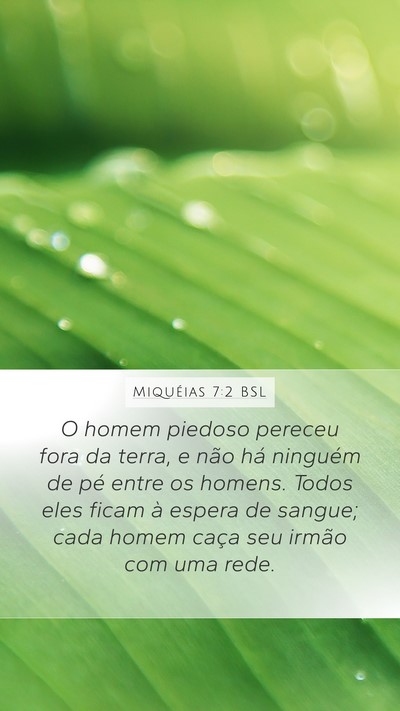 Miquéias 7:2 BSL Bible Verse Image
