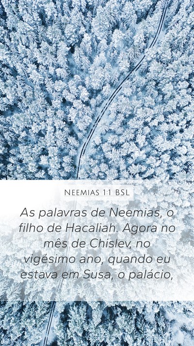 Neemias 1:1 BSL Mobile Phone Wallpaper - As palavras de Neemias, o filho de Hacaliah. - Mobile Bible Verse Wallpaper