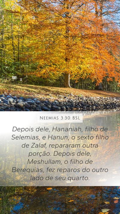 Neemias 3:30 BSL Bible Verse Image