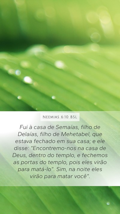 Neemias 6:10 BSL Bible Verse Image