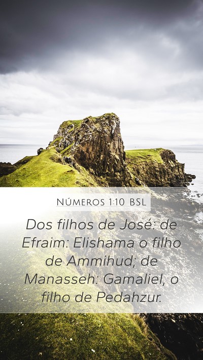 Números 1:10 BSL Mobile Phone Wallpaper - Dos filhos de José: de Efraim: Elishama o filho - Mobile Bible Verse Wallpaper