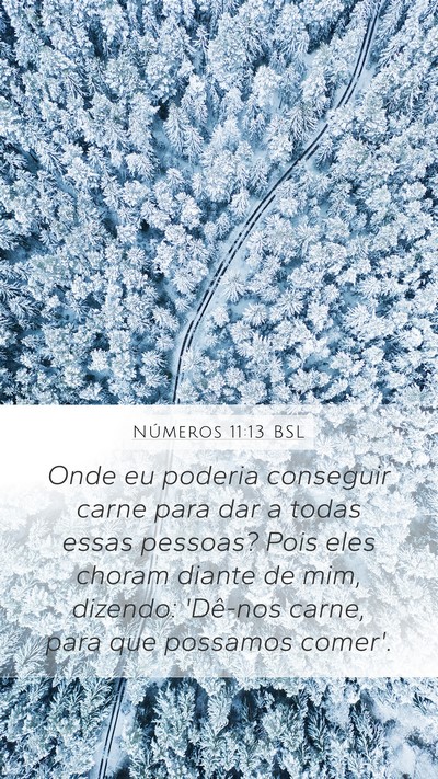 Números 11:13 BSL Mobile Phone Wallpaper - Onde eu poderia conseguir carne para dar a todas - Mobile Bible Verse Wallpaper
