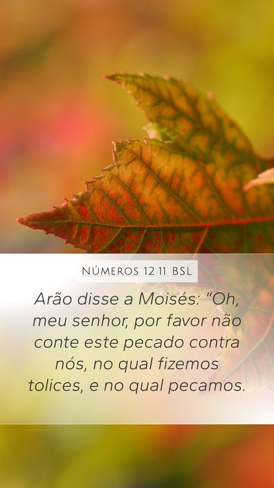 Números 12:11 BSL Bible Verse Image