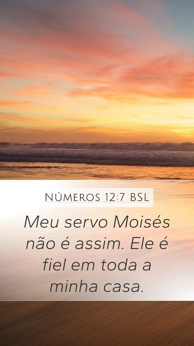 Números 12:7 BSL Bible Verse Image