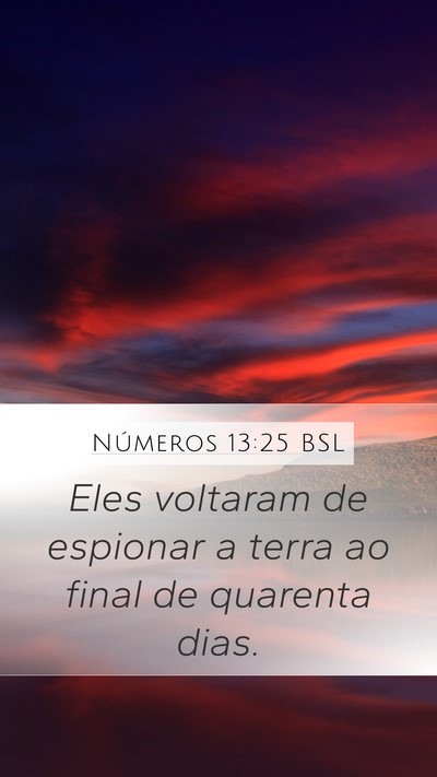 Números 13:25 BSL Mobile Phone Wallpaper - Eles voltaram de espionar a terra ao final de - Mobile Bible Verse Wallpaper