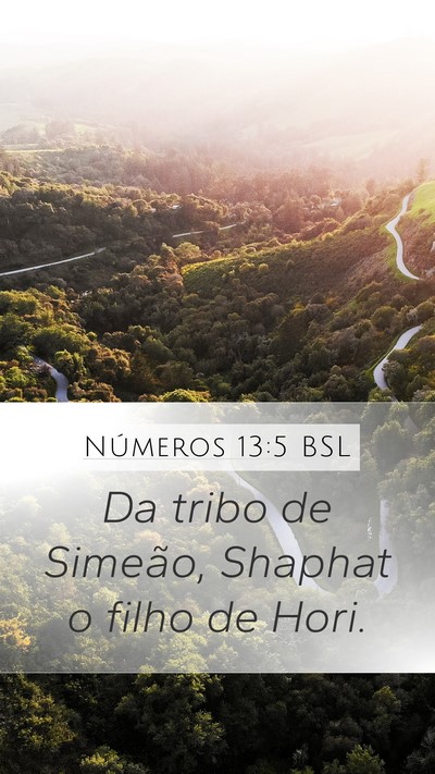 Números 13:5 BSL Mobile Phone Wallpaper - Da tribo de Simeão, Shaphat o filho de - Mobile Bible Verse Wallpaper
