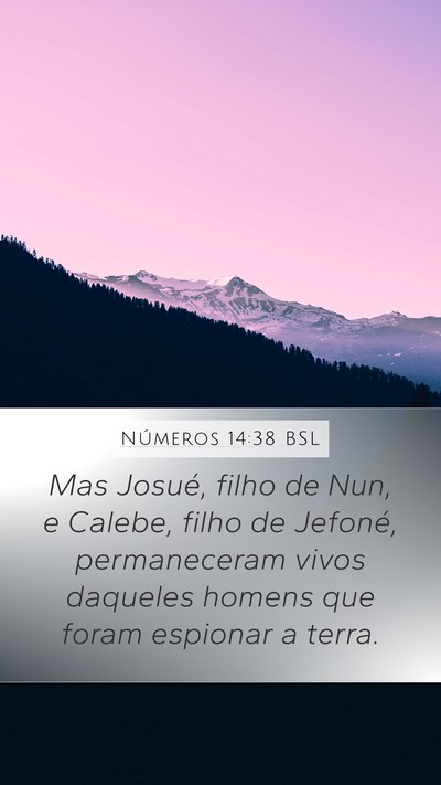 Números 14:38 BSL Bible Verse Image