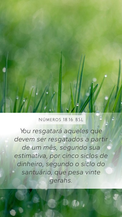 Números 18:16 BSL Bible Verse Image