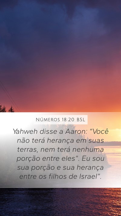 Números 18:20 BSL Bible Verse Image
