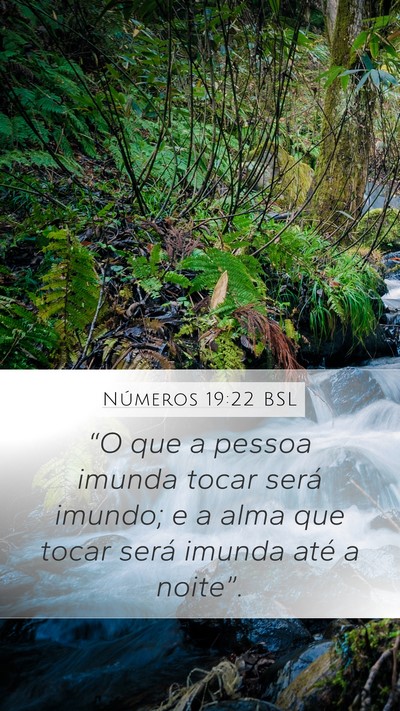 Números 19:22 BSL Bible Verse Image