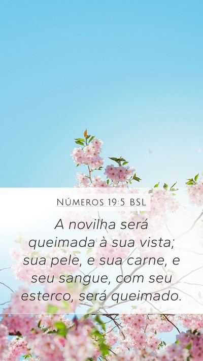 Números 19:5 BSL Mobile Phone Wallpaper - A novilha será queimada à sua vista; sua pele, - Mobile Bible Verse Wallpaper