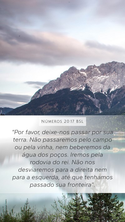 Números 20:17 BSL Mobile Phone Wallpaper - “Por favor, deixe-nos passar por sua terra. - Mobile Bible Verse Wallpaper