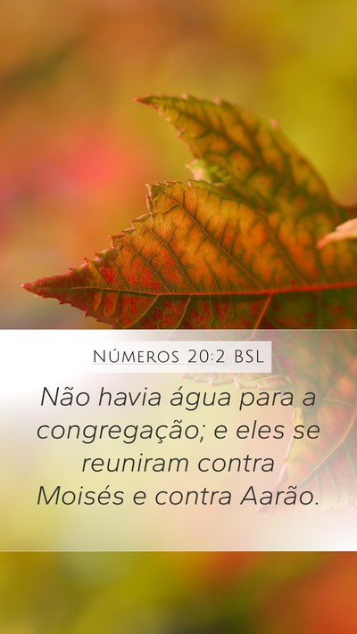 Números 20:2 BSL Bible Verse Image