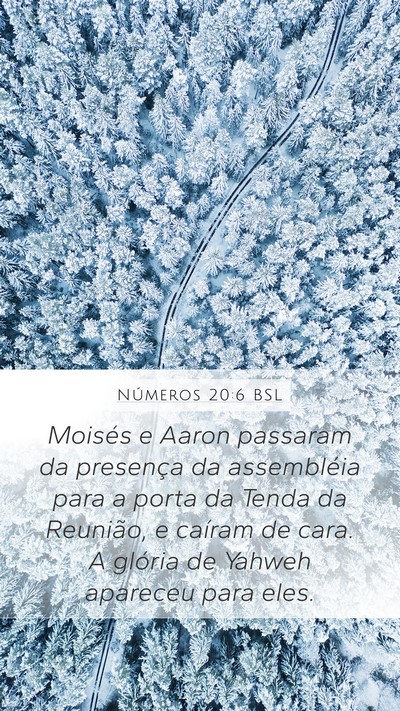 Números 20:6 BSL Bible Verse Image