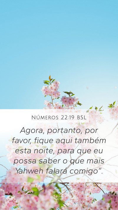 Números 22:19 BSL Bible Verse Image
