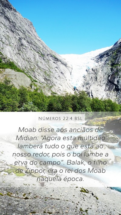 Números 22:4 BSL Bible Verse Image