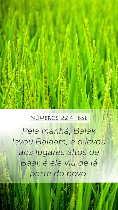 Números 22:41 BSL Bible Verse Image