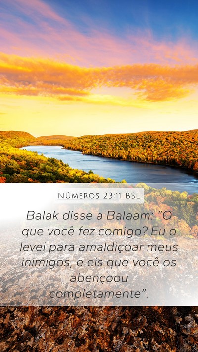 Números 23:11 BSL Bible Verse Image