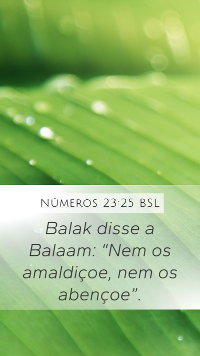 Números 23:25 BSL Mobile Phone Wallpaper - Balak disse a Balaam: “Nem os amaldiçoe, nem - Mobile Bible Verse Wallpaper