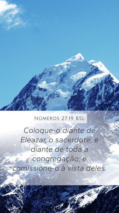 Números 27:19 BSL Bible Verse Image