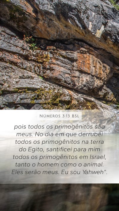 Números 3:13 BSL Bible Verse Image
