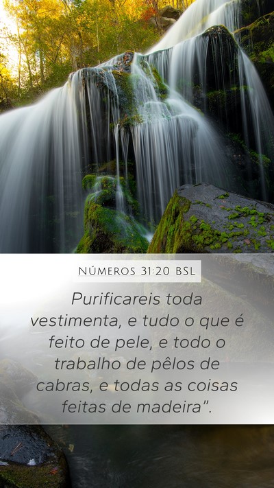Números 31:20 BSL Bible Verse Image
