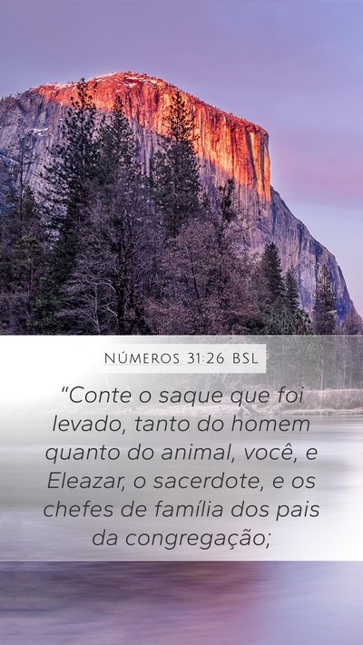 Números 31:26 BSL Bible Verse Image