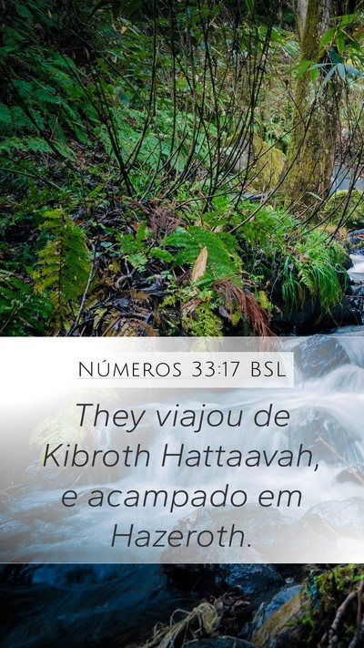 Números 33:17 BSL Bible Verse Image