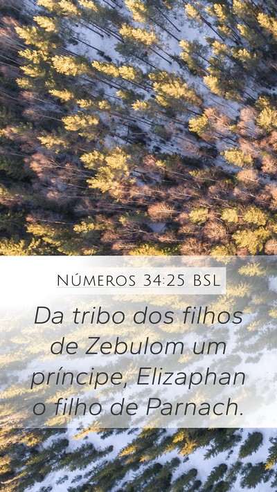 Números 34:25 BSL Mobile Phone Wallpaper - Da tribo dos filhos de Zebulom um príncipe, - Mobile Bible Verse Wallpaper