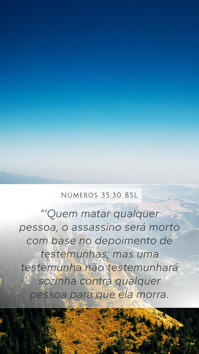 Números 35:30 BSL Bible Verse Image