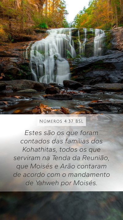 Números 4:37 BSL Bible Verse Image