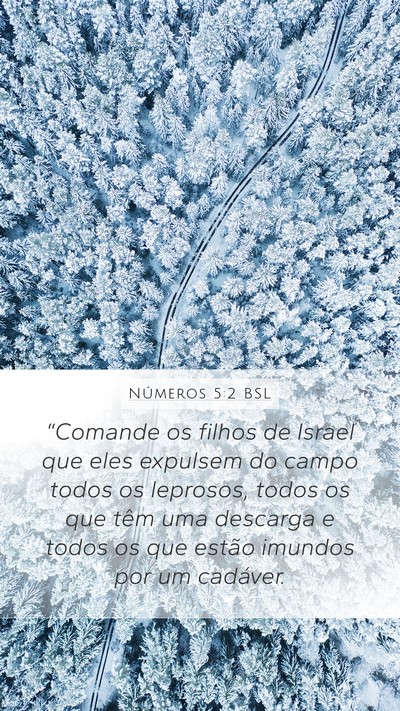 Números 5:2 BSL Bible Verse Image