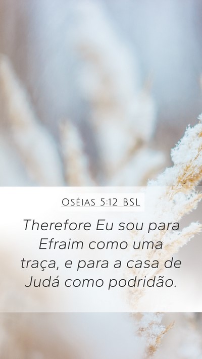 Oséias 5:12 BSL Mobile Phone Wallpaper - Therefore Eu sou para Efraim como uma traça, e - Mobile Bible Verse Wallpaper