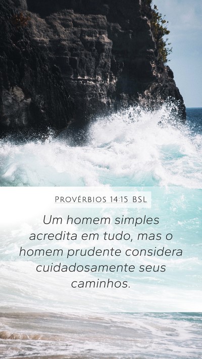 Provérbios 14:15 BSL Bible Verse Image