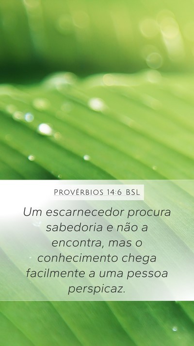 Provérbios 14:6 BSL Bible Verse Image