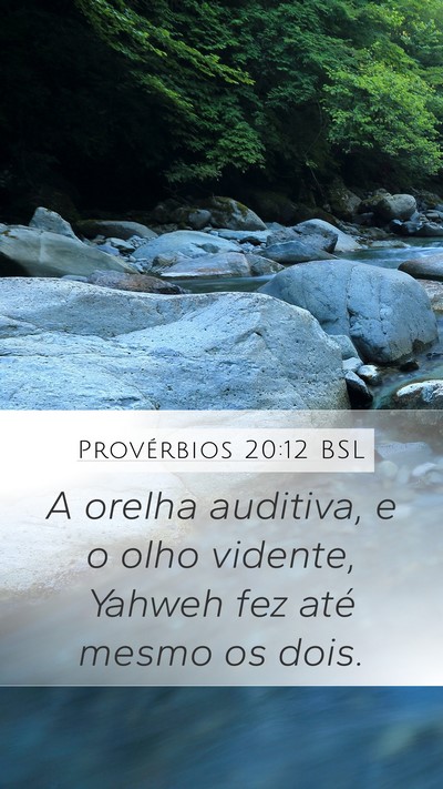 Provérbios 20:12 BSL Bible Verse Image