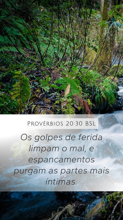 Provérbios 20:30 BSL Bible Verse Image