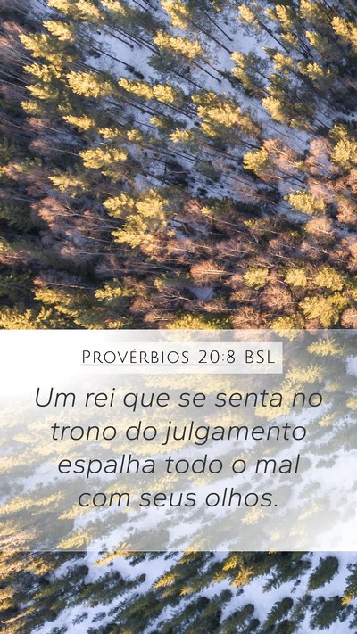 Provérbios 20:8 BSL Bible Verse Image