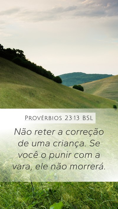 Provérbios 23:13 BSL Bible Verse Image
