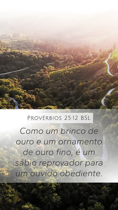 Provérbios 25:12 BSL Bible Verse Image