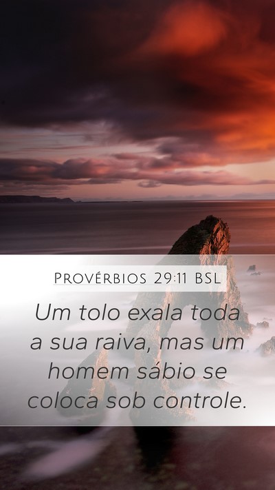 Provérbios 29:11 BSL Bible Verse Image