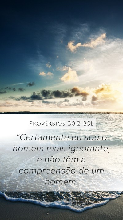Provérbios 30:2 BSL Bible Verse Image