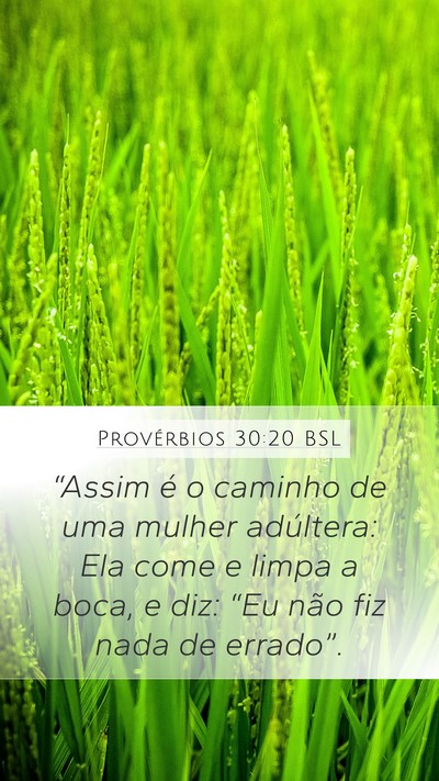 Provérbios 30:20 BSL Bible Verse Image