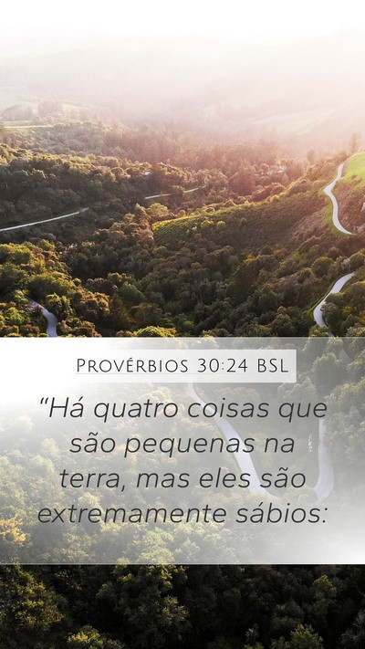 Provérbios 30:24 BSL Bible Verse Image