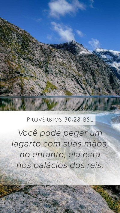 Provérbios 30:28 BSL Mobile Phone Wallpaper - Você pode pegar um lagarto com suas mãos, no - Mobile Bible Verse Wallpaper