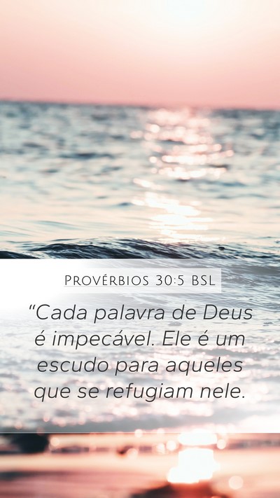 Provérbios 30:5 BSL Bible Verse Image
