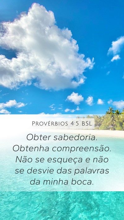 Provérbios 4:5 BSL Bible Verse Image