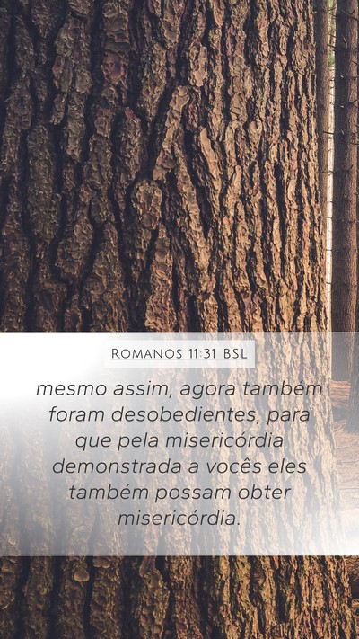 Romanos 11:31 BSL Bible Verse Image