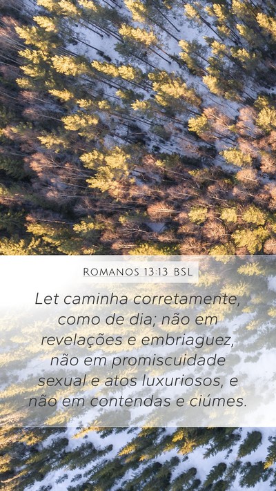 Romanos 13:13 BSL Bible Verse Image