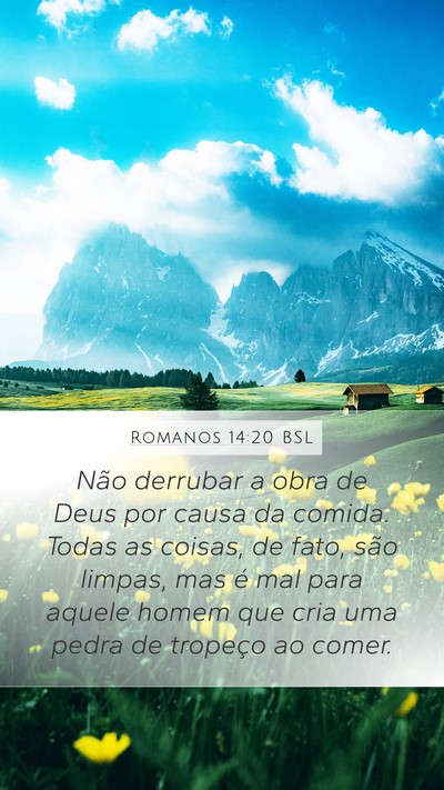 Romanos 14:20 BSL Bible Verse Image